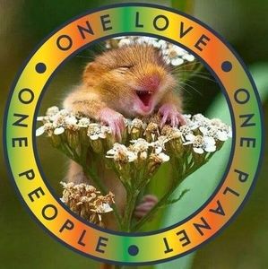 Meet your Posher, Althea